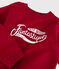 Boys' Fleece Sweatshirt TERKUIT red
