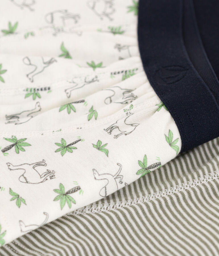 Boys' Cotton Camel Boxer Shorts - Pack of 2 multicolor