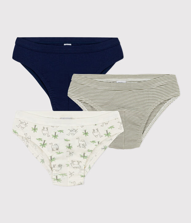 Boys' Cotton Dromedary Patterned Briefs - 3-Pack multicolor