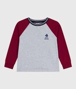 FUMEE grey/AMARANTE