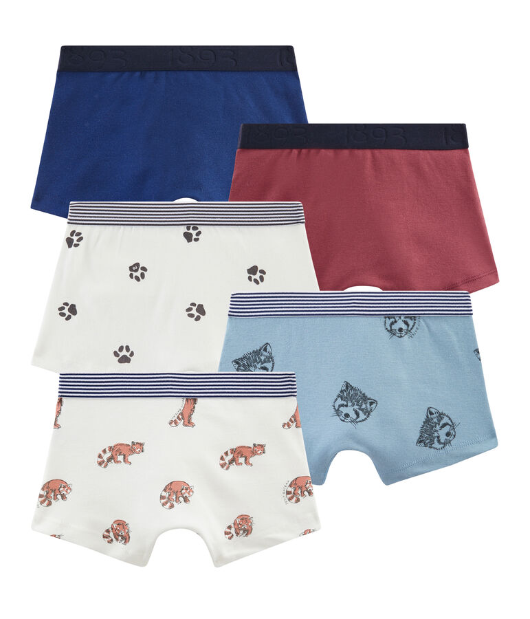 Boys' Boxers - 5-Piece Set multicolor