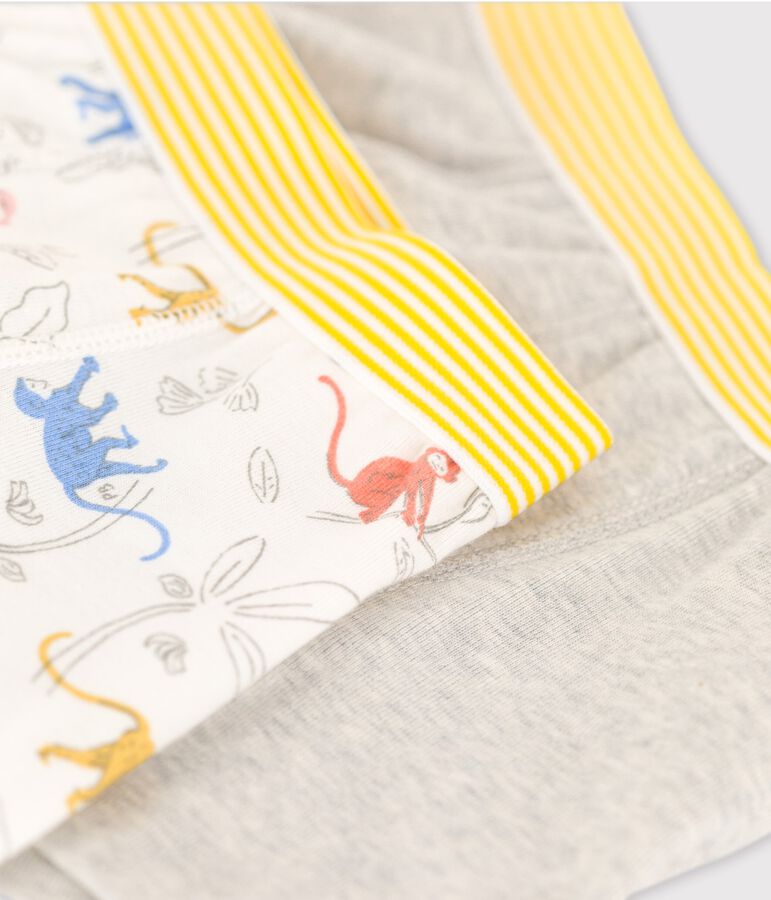 Boys' Monkey Themed Organic Cotton Boxer Shorts - 2-Pack multicolor