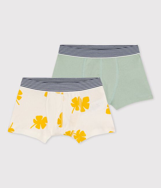 Boys' Palm Tree Print Cotton Boxer Shorts - 2-Pack variante 1