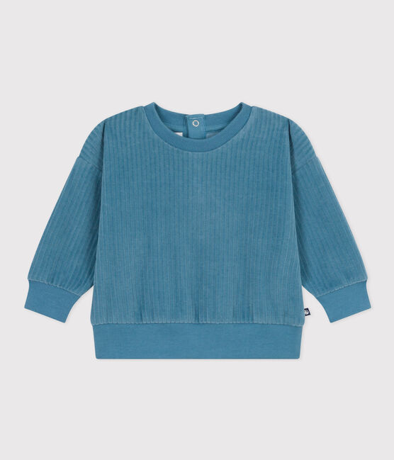 Babies' Velour Sweatshirt POLOCHON blue