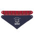 Baby Boys' Bandanna/Bibs - 2-Piece Set