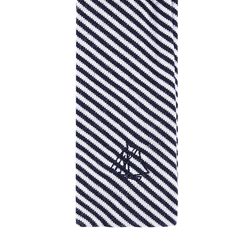 Boys' Tie blue/white