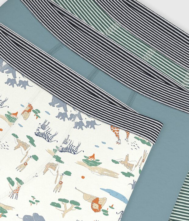 Pack of children's savanna print cotton boxers multicolor