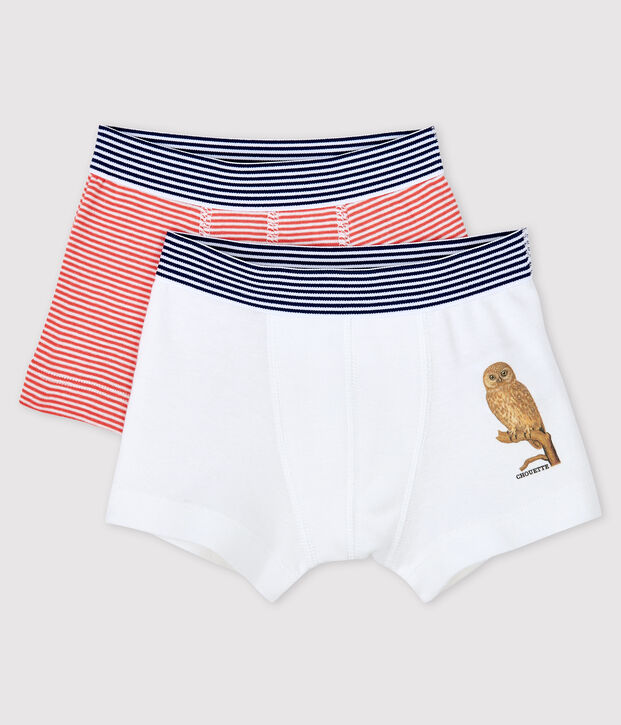 Petit Bateau x Deyrolle Boys' Boxer Shorts - 2-Piece Set multicolor
