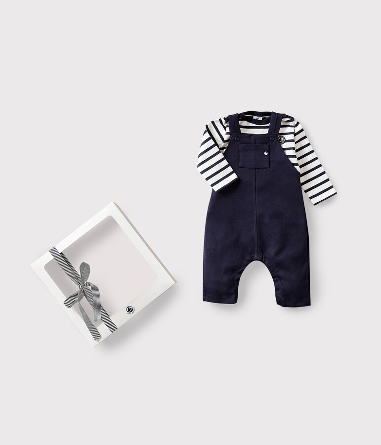 Babies' Thick Jersey Dungarees and Breton Top multicolor