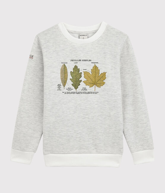 Petit Bateau x Deyrolle Boys' Sweatshirt MONTELIMAR CHINE beige