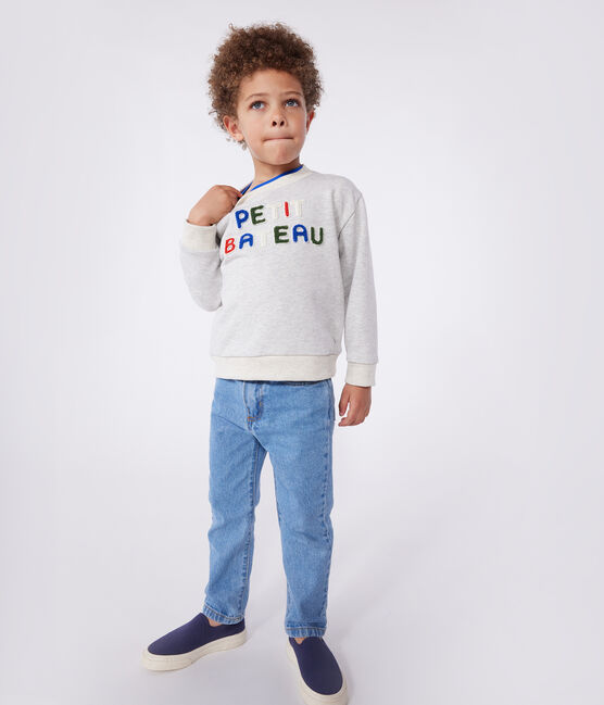 Children's unisex cotton sweatshirt BELUGA CHINE grey