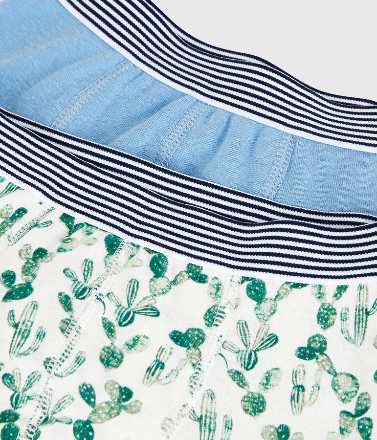 Boys' Cactus Print Cotton and Linen Blend Boxer Shorts - 2-Pack multicolor
