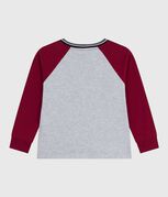 FUMEE grey/AMARANTE