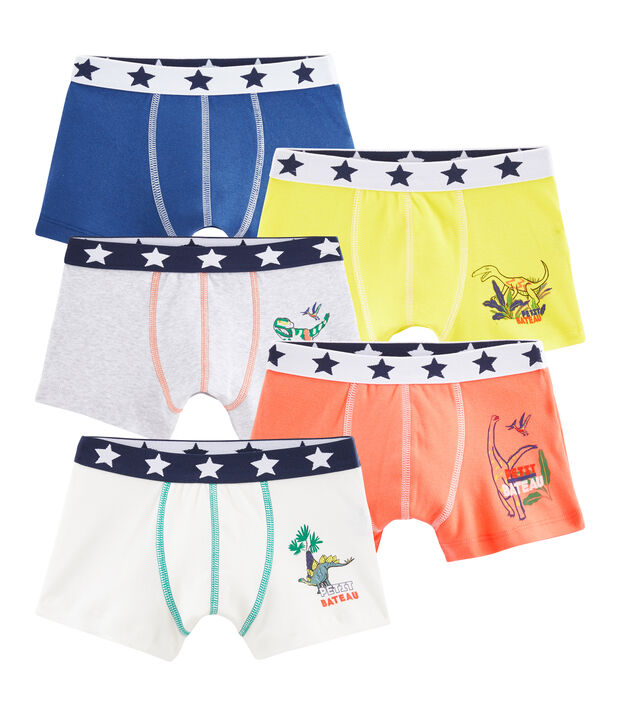 Boys' Boxer Shorts - 5-Piece Set multicolor