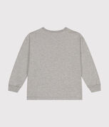 CHATON CHINE grey