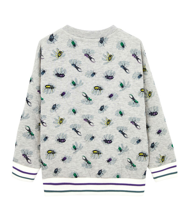 Boy's Sweatshirt grey/multicolor