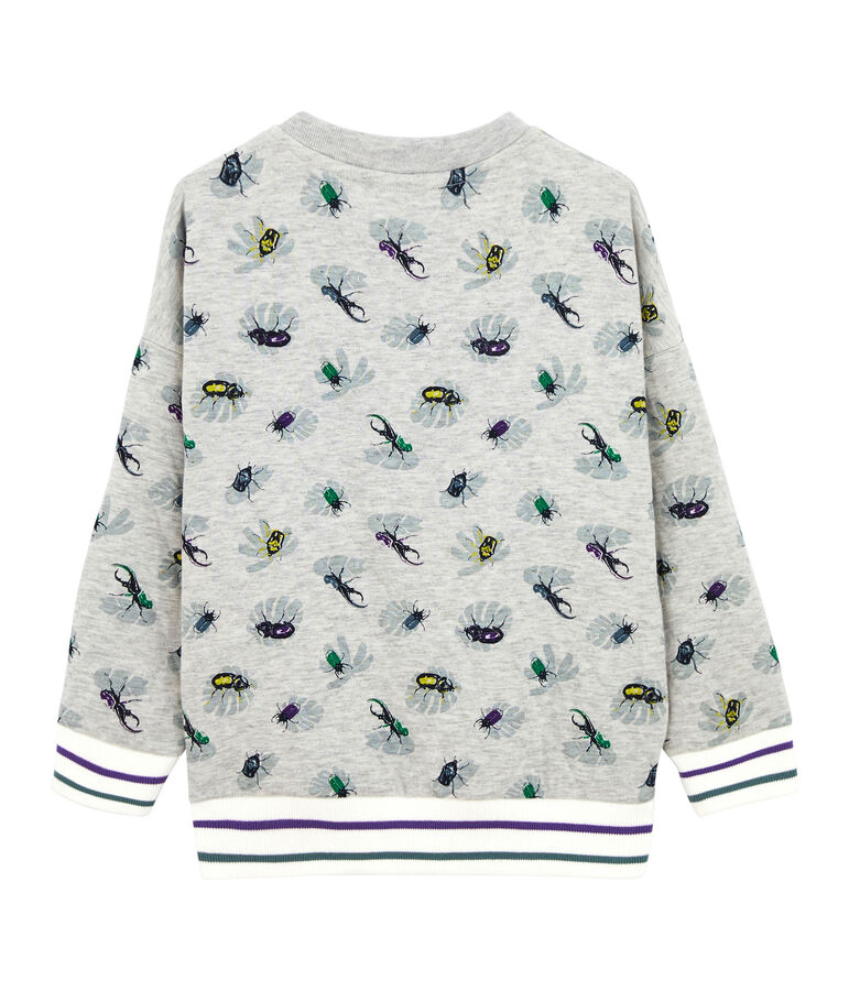 Boy's Sweatshirt grey/multicolor