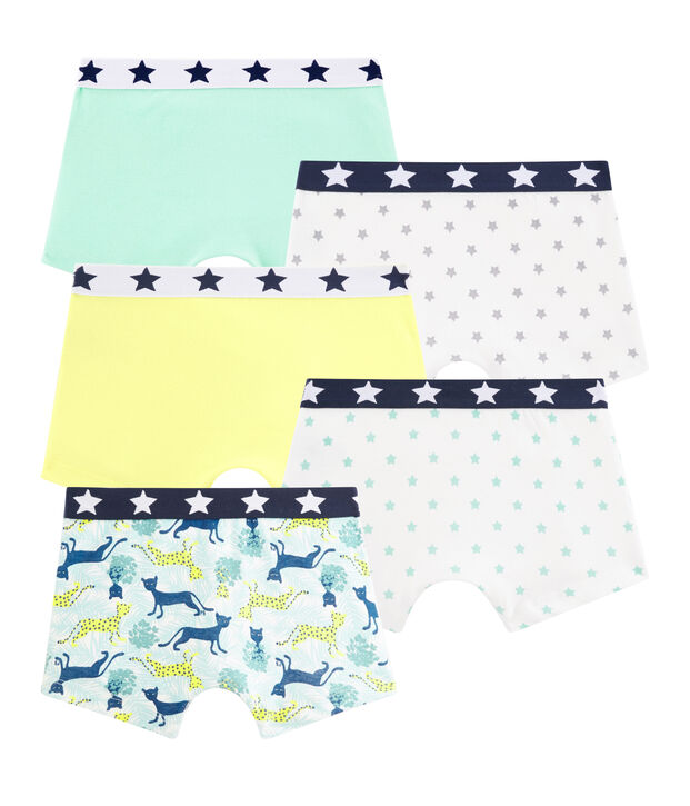 Boys' Boxer Shorts - 5-Piece Set multicolor