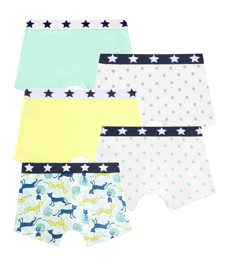 Boys' Boxer Shorts - 5-Piece Set multicolor
