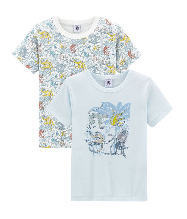 Boys' Short-sleeved T-shirt in Cotton - Set of 2 multicolor