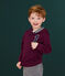 Boys' Hooded T-shirt CEPAGE purple