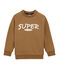Boy's sweatshirt BRINDILLE brown