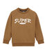 Boy's sweatshirt