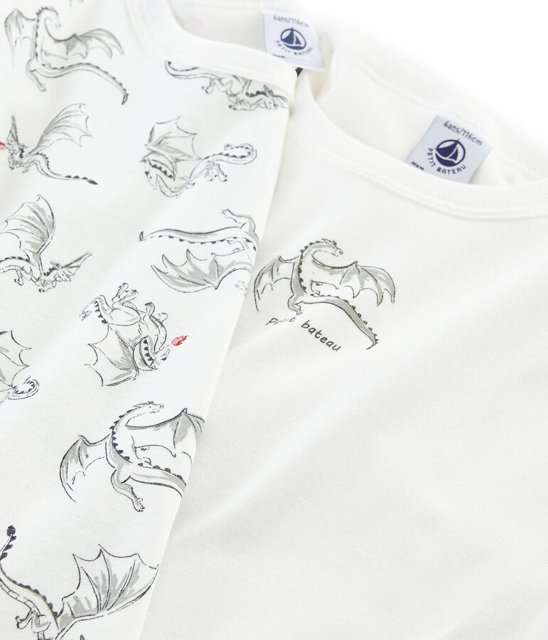 Boys' Long-Sleeved T-Shirt - 2-Piece Set multicolor