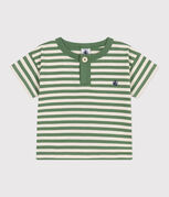 PALMERAIE green/AVALANCHE