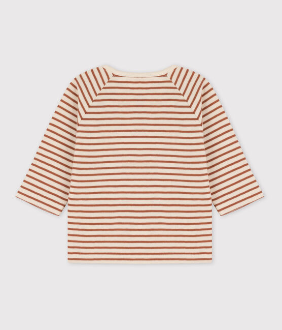 Stripy Cotton Tube Knit T-Shirt AVALANCHE white/CINA:AVALANCHE