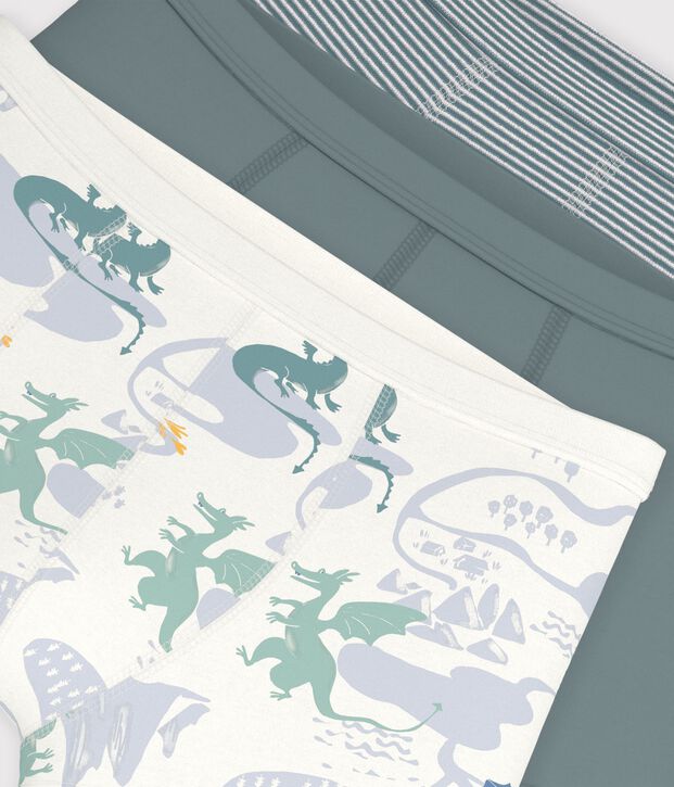 Pack of children's dragon print cotton boxers with covered waistbands multicolor