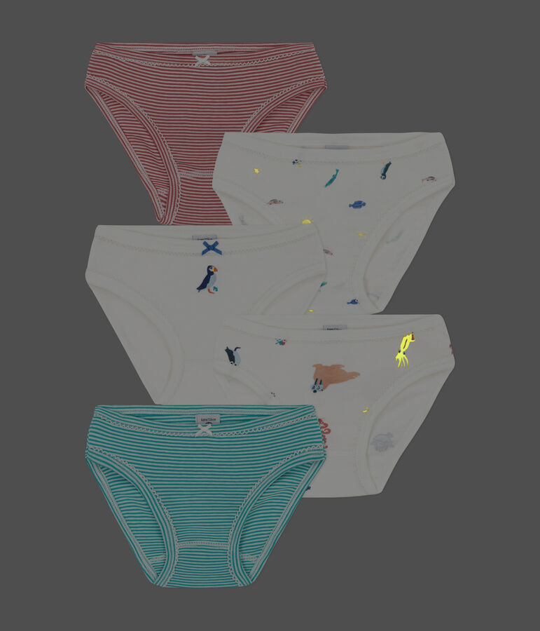 Girls' Cotton Briefs - 5-Pack multicolor