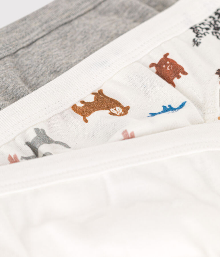 Boys' Dog Cotton Briefs - 3-Pack multicolor