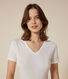 Women's iconic plain short-sleeved rib knit T-shirt