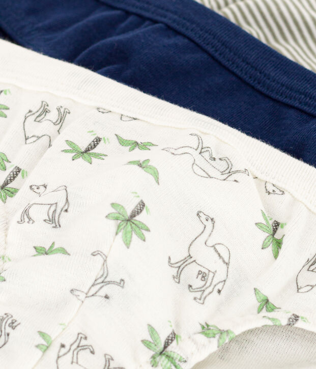 Boys' Cotton Dromedary Patterned Briefs - 3-Pack multicolor