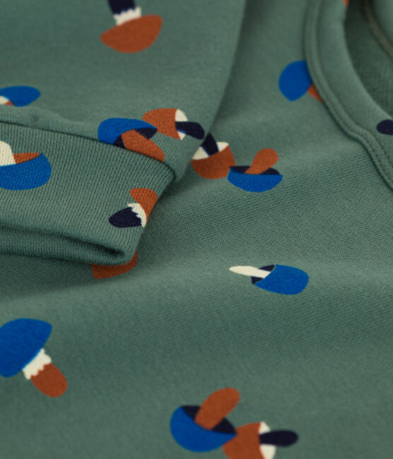 Boys' Printed Fleece Sweatshirt VALLEE green/MULTICO ecru