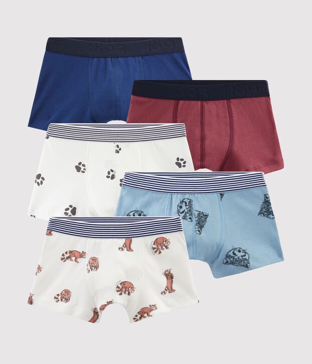 Boys' Boxers - 5-Piece Set multicolor