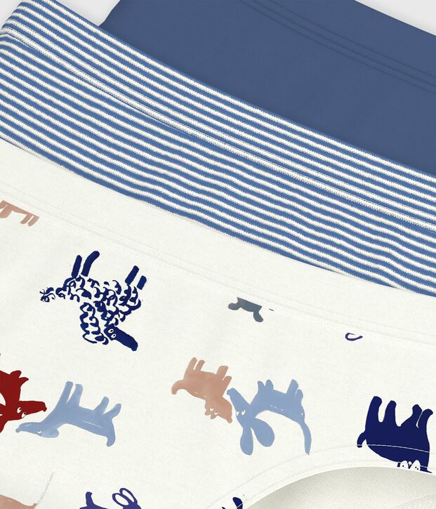 Pack of children's dog print cotton briefs multicolor