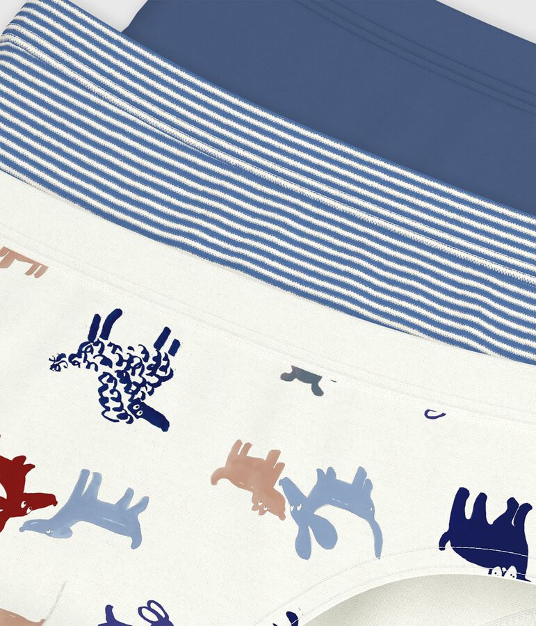 Pack of children's dog print cotton briefs multicolor