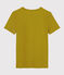 Women's Sea Island cotton T-shirt BAMBOO green