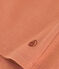 Women's Iconic Cotton Round Neck T-Shirt pink