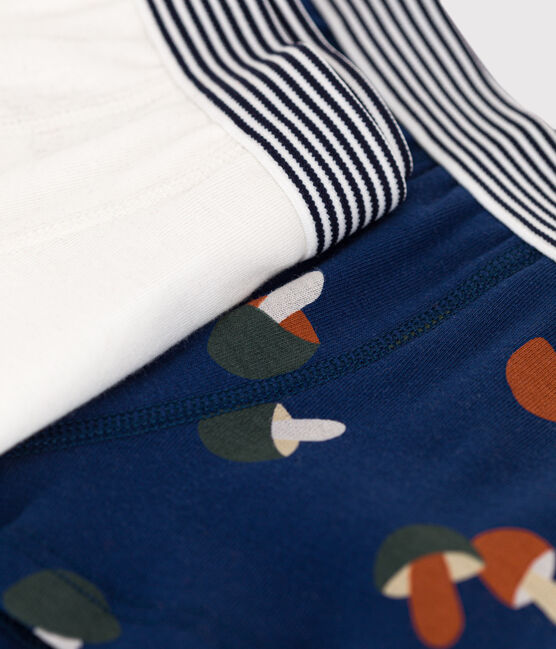 Boys' Mushroom Patterned Cotton Boxer Shorts - 2-Pack variante 1