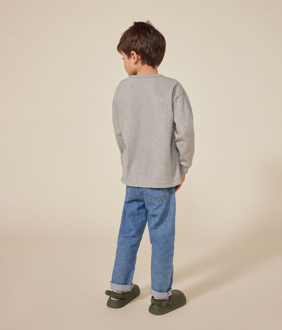 Little boys' long-sleeved T-shirt in fine jersey CHATON CHINE grey