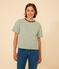 Women's Boxy Stripy Cotton T-Shirt CROCO green/AVALANCHE