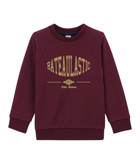 Boy's sweatshirt OGRE purple