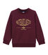 Boy's sweatshirt