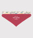 Babies' Set of 2 Explorer Bandanas