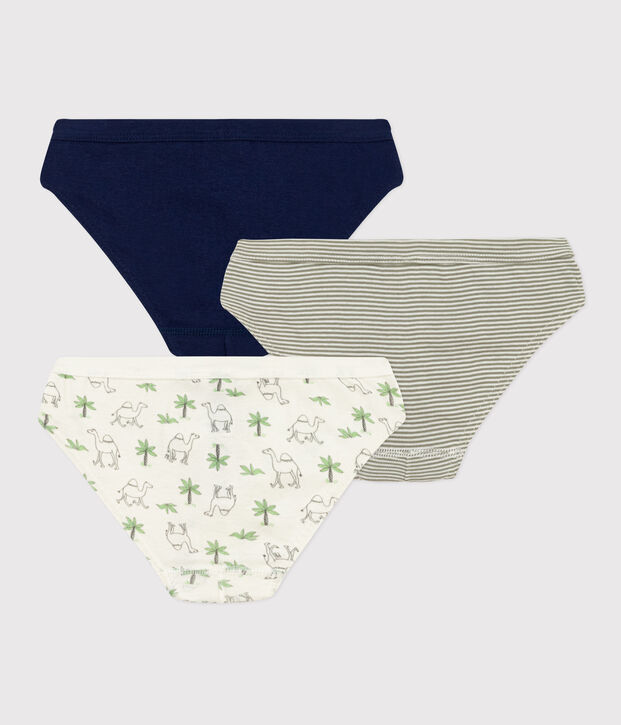 Boys' Cotton Dromedary Patterned Briefs - 3-Pack multicolor