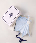 blue/white
