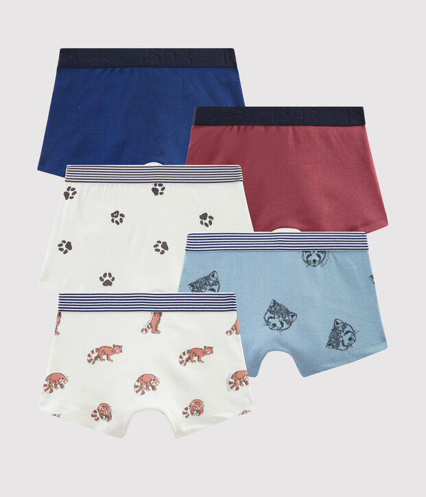 Boys' Boxers - 5-Piece Set multicolor